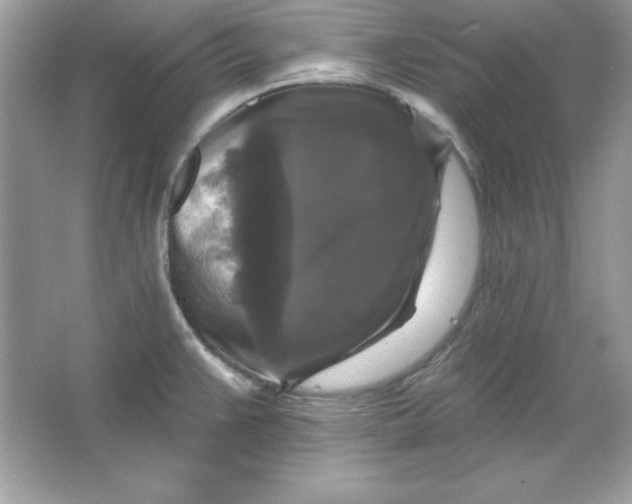 X0000066011383200603171454