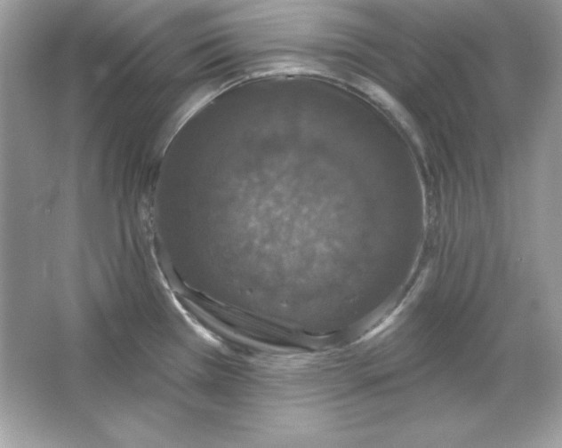 X0000066011385200603171454