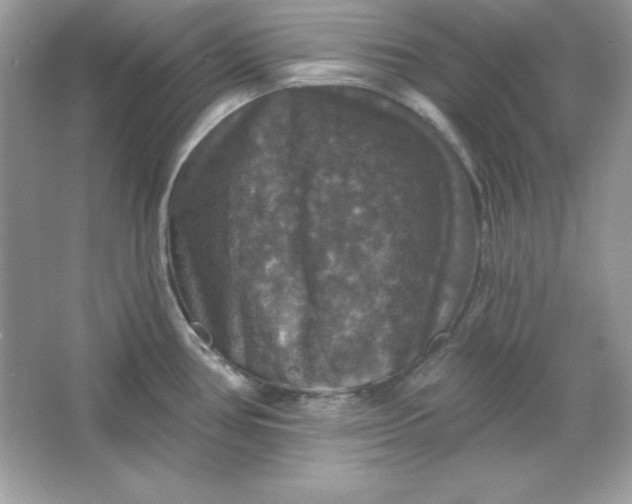 X0000066011386200603171454