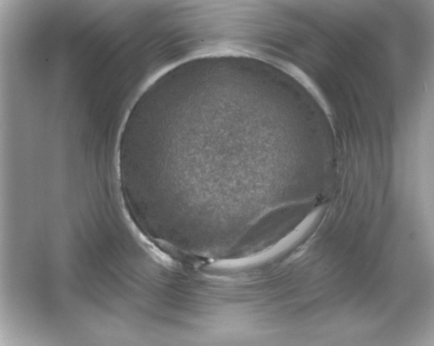 X0000066011388200603171454