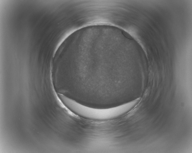 X0000066011390200603171454