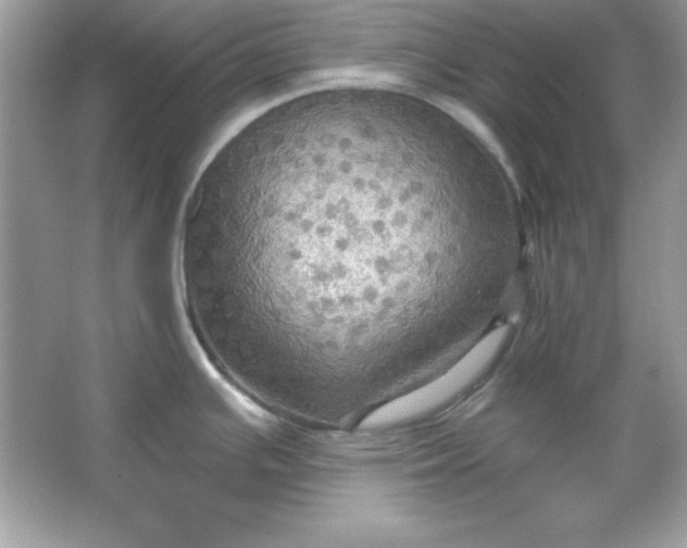 X0000066011391200603171454