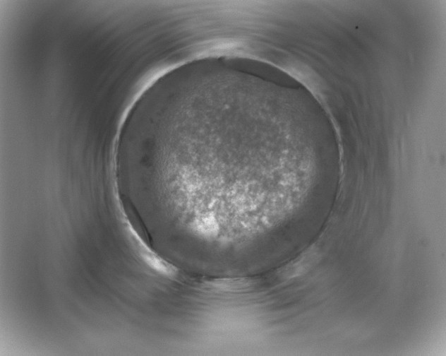 X0000066011392200603171454