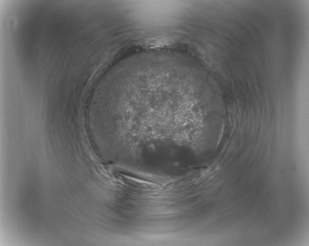 X0000066011393200603171453