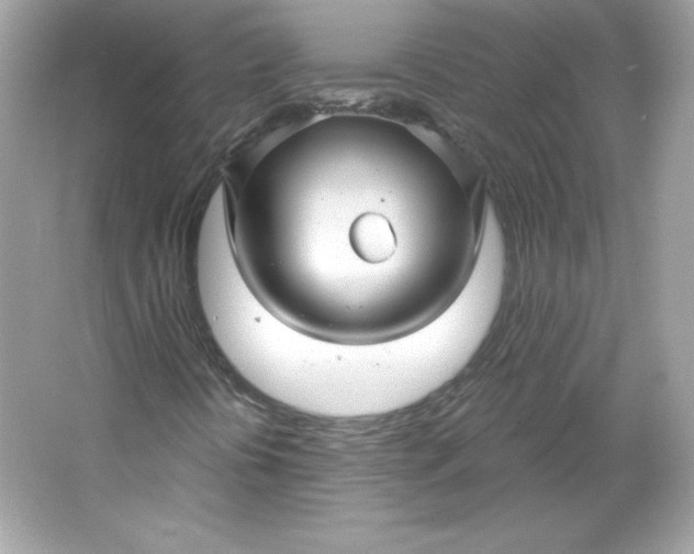 X0000066011394200603171453