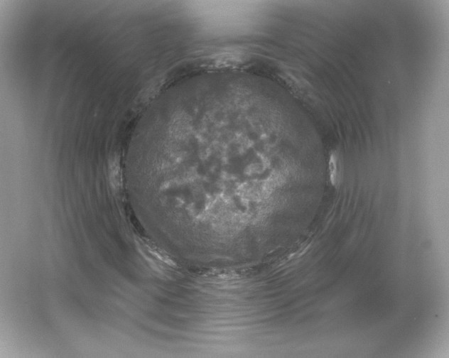 X0000066011395200603171453