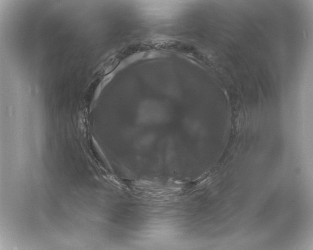 X0000066011397200603171454