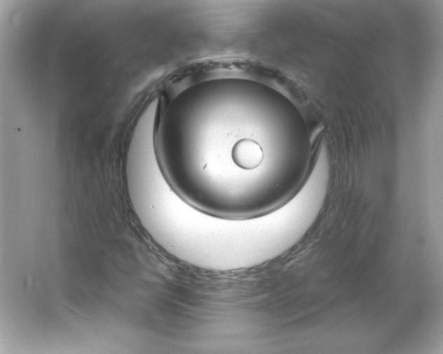 X0000066011398200603171454