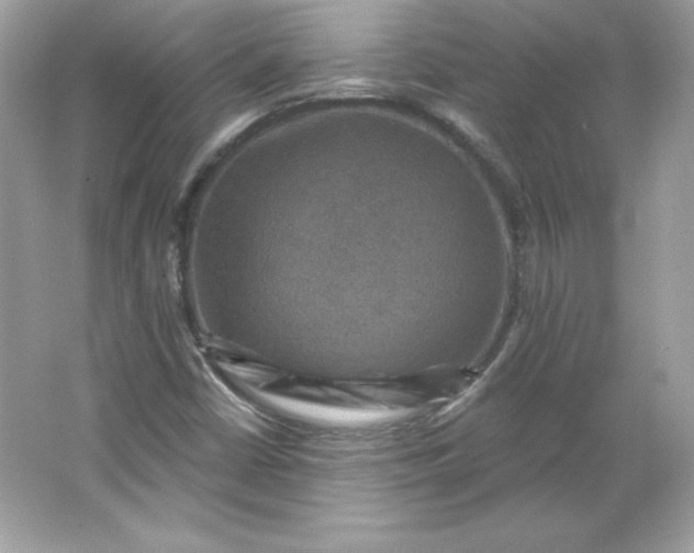 X0000066011402200603171454