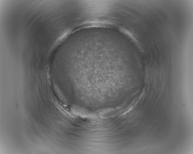 X0000066011403200603171454