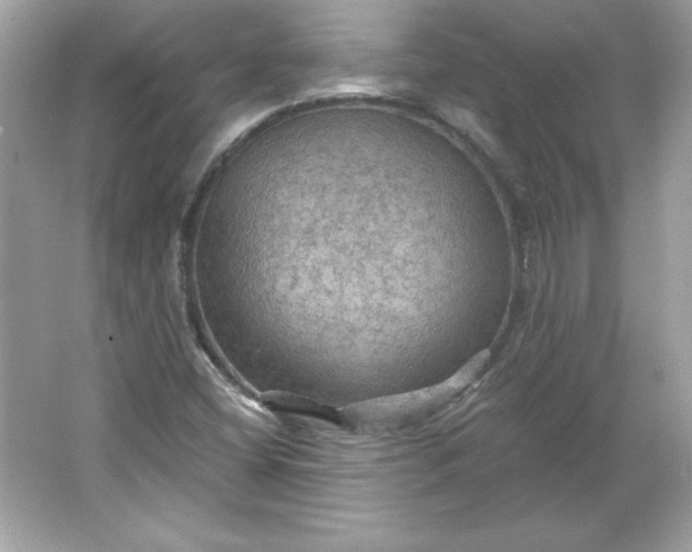 X0000066011404200603171454