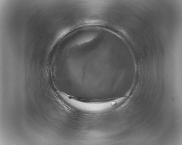 X0000066011405200603171454