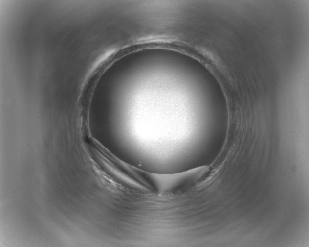 X0000066011406200603171454