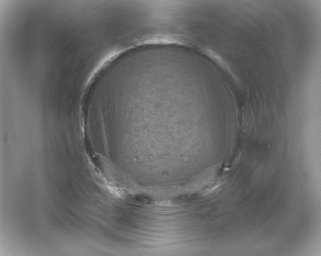 X0000066011408200603171454