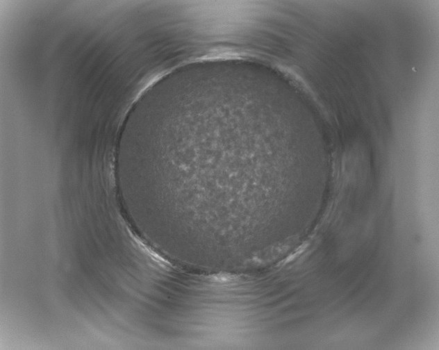 X0000066011409200603171454