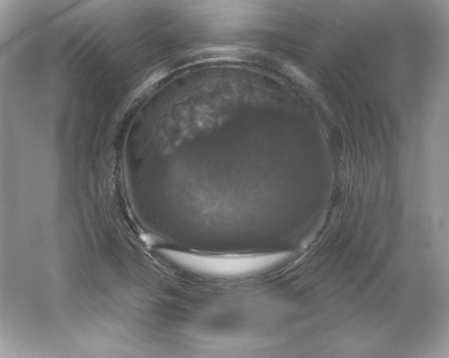 X0000066011411200603171454