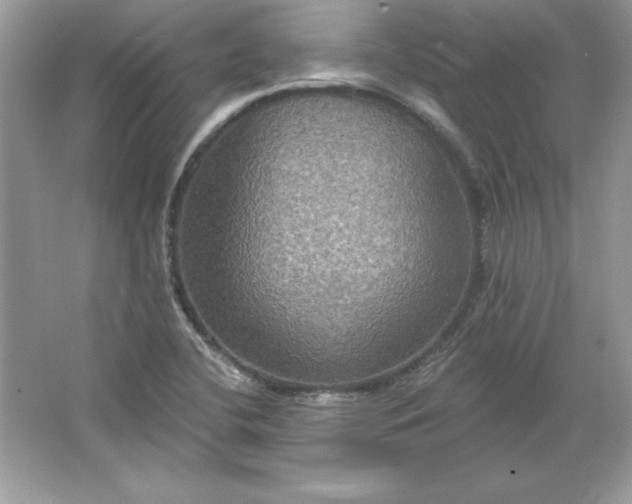 X0000066011412200603171454