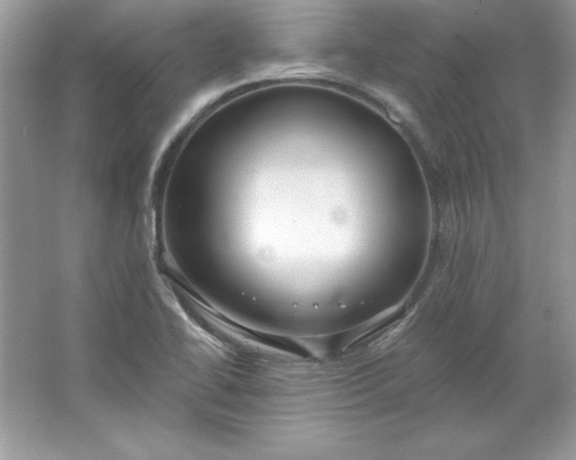 X0000066011414200603171454