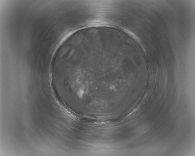 X0000066011415200603171454