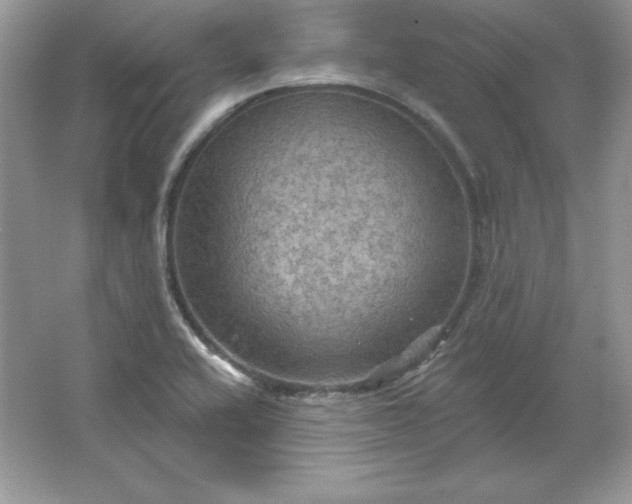 X0000066011416200603171454