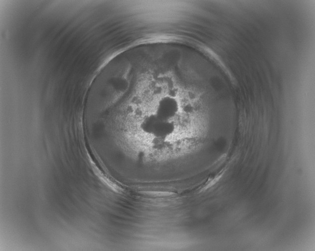 X0000066011417200603171454