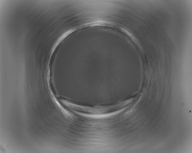 X0000066011418200603171454