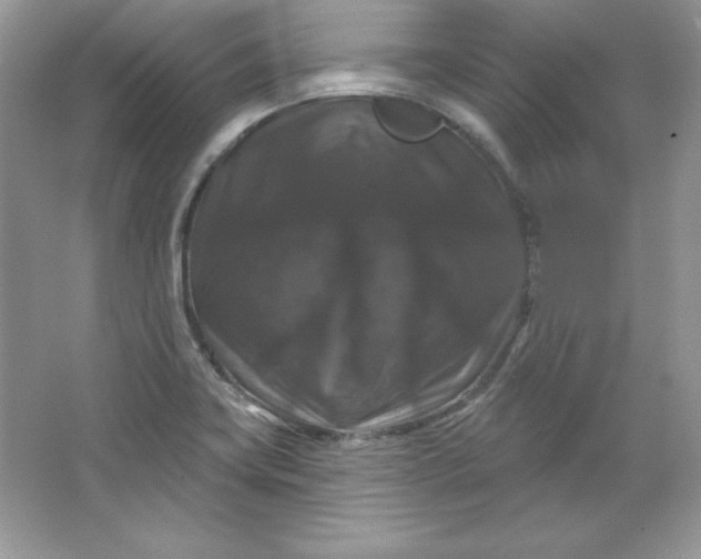 X0000066011419200603171454