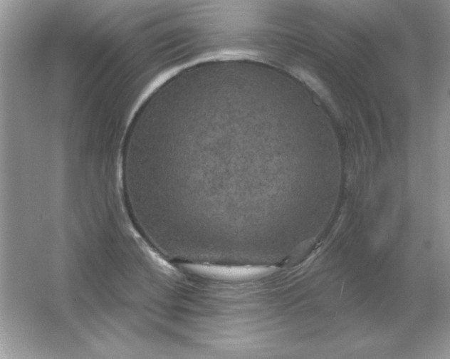 X0000066011420200603171454