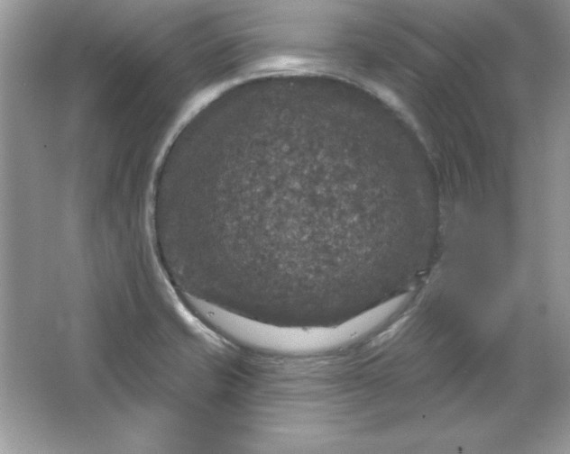 X0000066011421200603171454