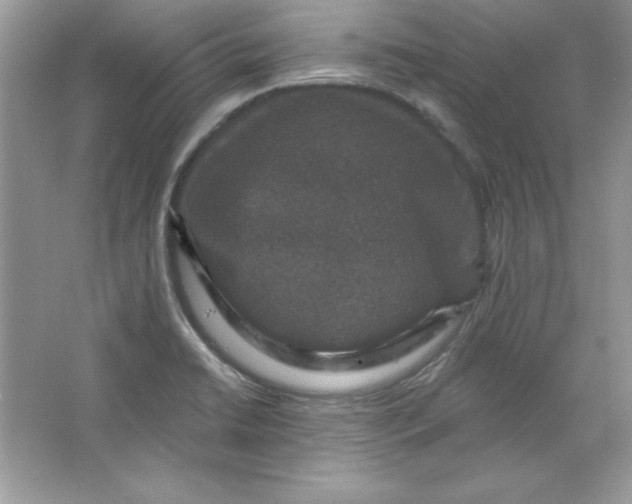 X0000066011422200603171454