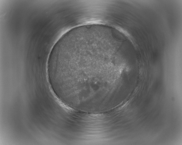 X0000066011423200603171454