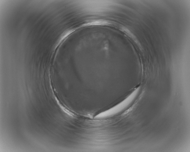 X0000066011425200603171454