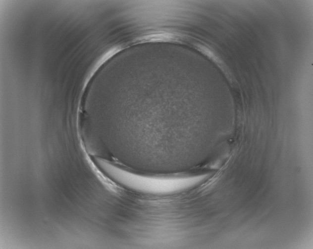 X0000066011426200603171454