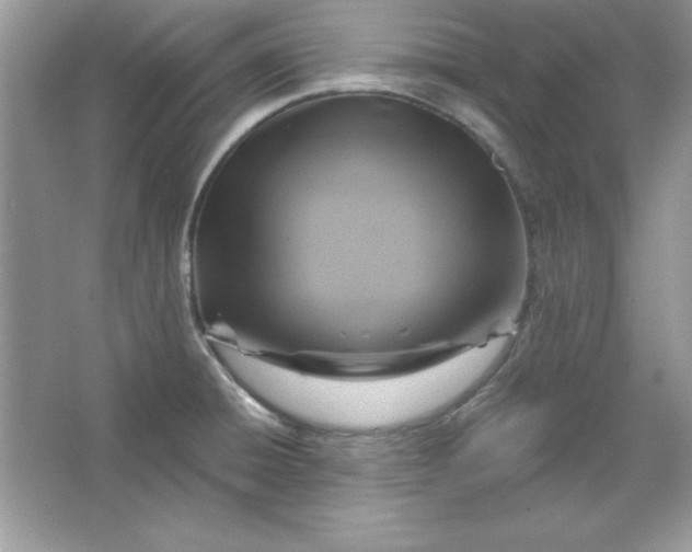 X0000066011428200603171454