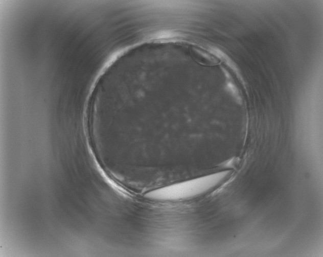 X0000066011429200603171454