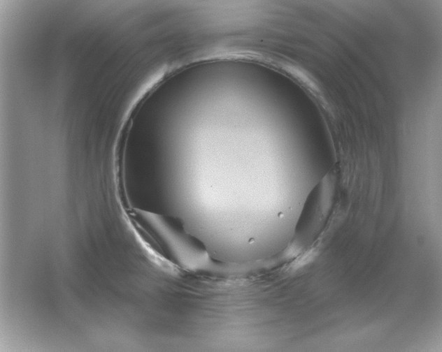 X0000066011430200603171454