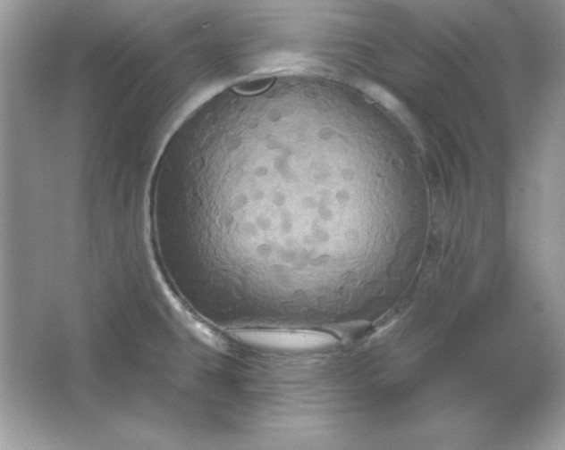 X0000066011431200603171454