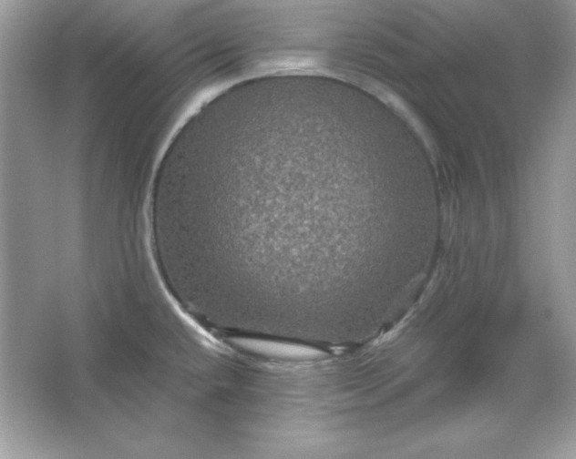 X0000066011432200603171454