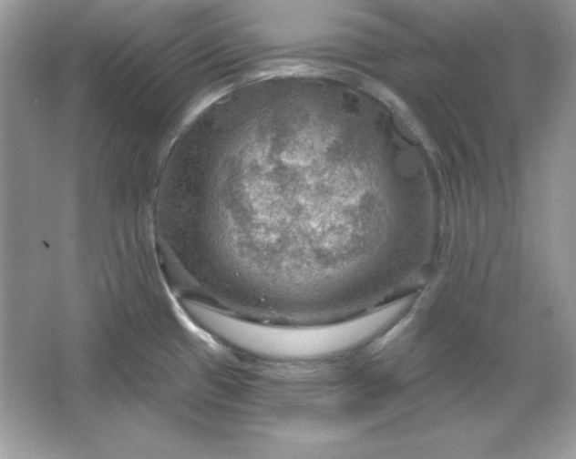 X0000066011433200603171454