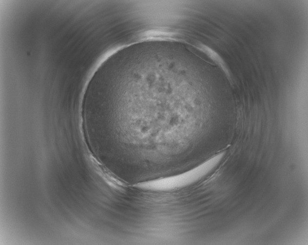 X0000066011435200603171454