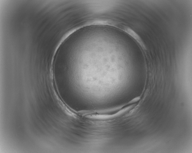 X0000066011436200603171454