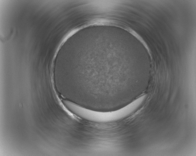 X0000066011437200603171454