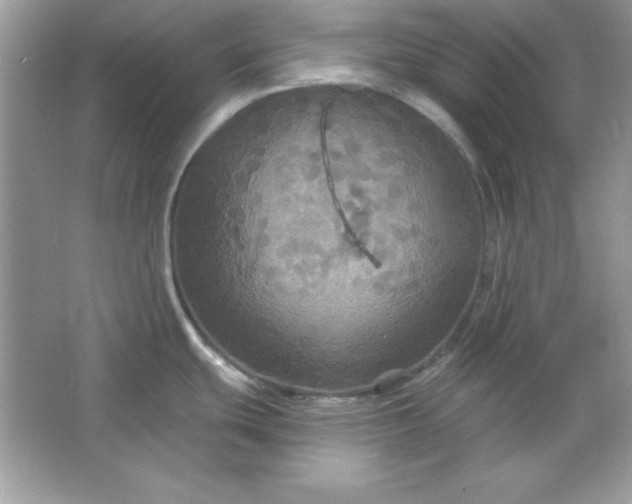 X0000066011439200603171454