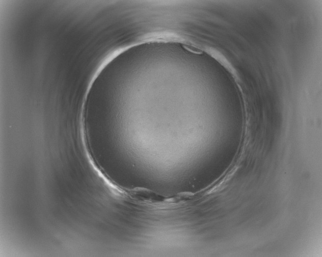 X0000066011440200603171454