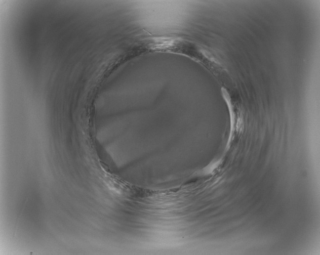 X0000066011441200603171453