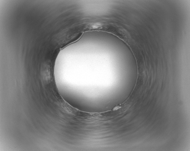 X0000066011442200603171453