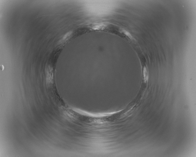 X0000066011443200603171453