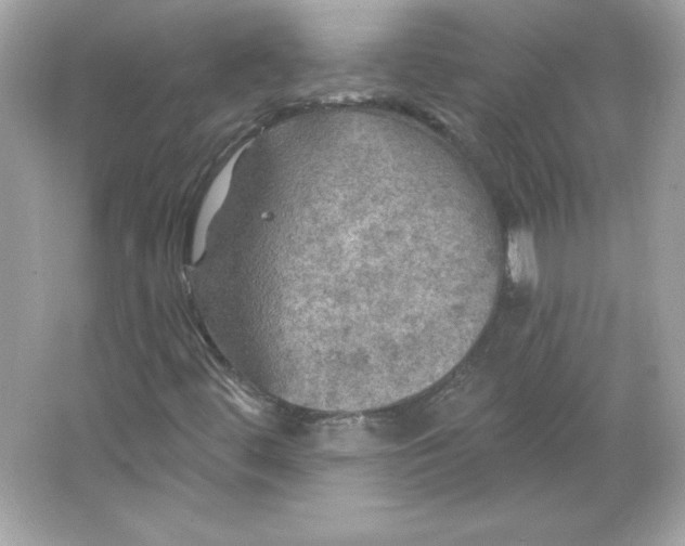 X0000066011444200603171453