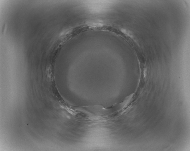 X0000066011445200603171453