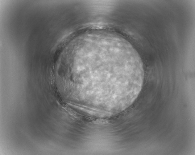 X0000066011446200603171453